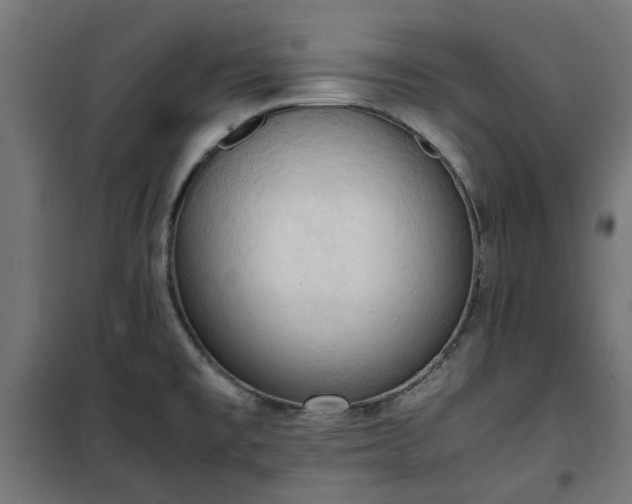 X0000100481477200806201618