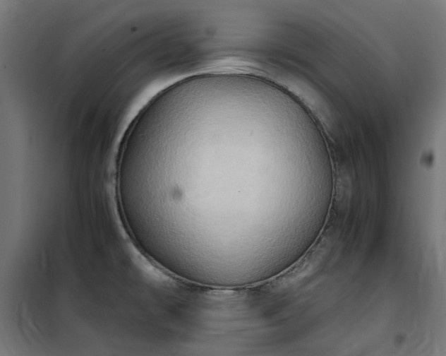 X0000100481478200806201618