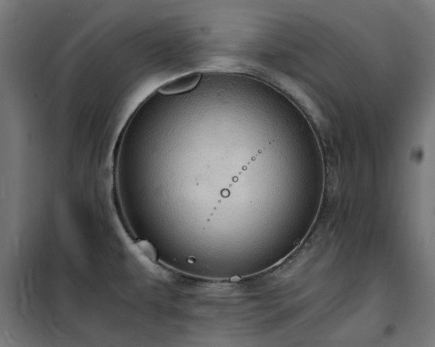 X0000100481479200806201618