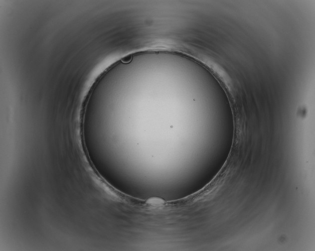 X0000100481480200806201618