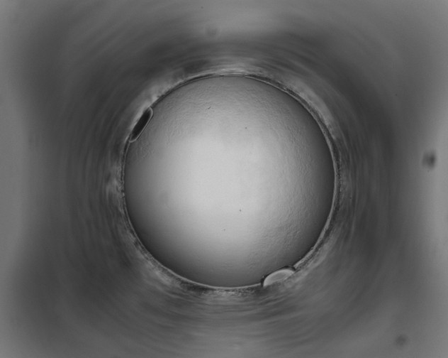 X0000100481481200806201618