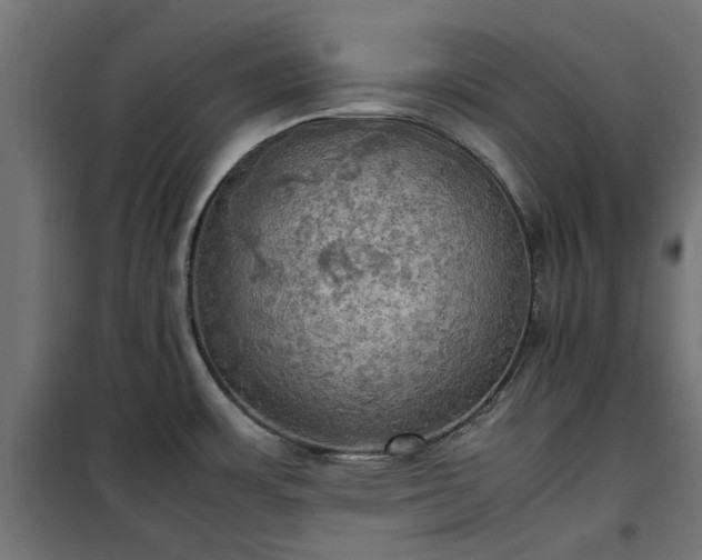 X0000100481483200806201618