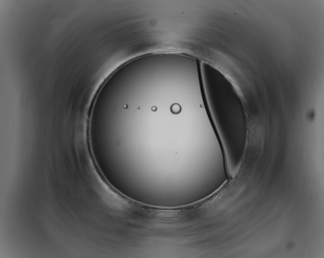 X0000100481484200806201618