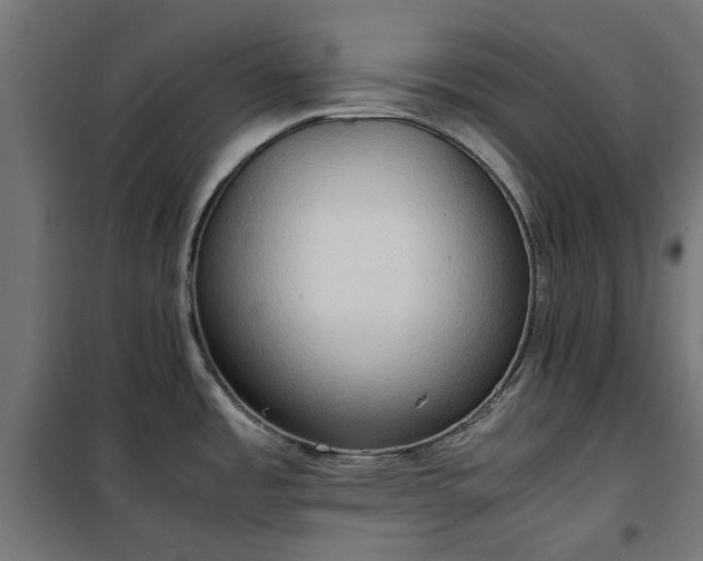 X0000100481485200806201618