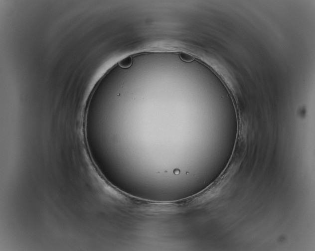 X0000100481486200806201618