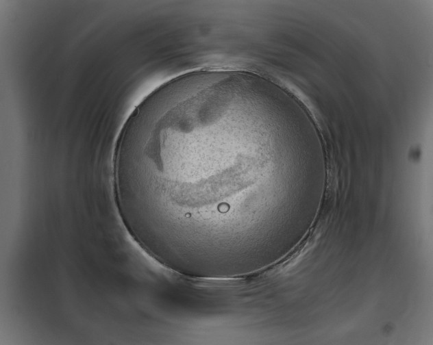 X0000100481487200806201618