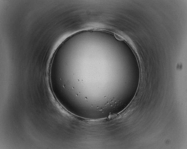 X0000100481488200806201618
