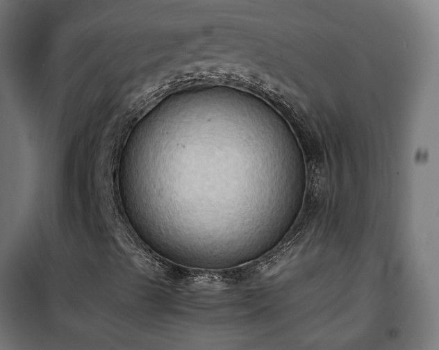 X0000100481489200806201617