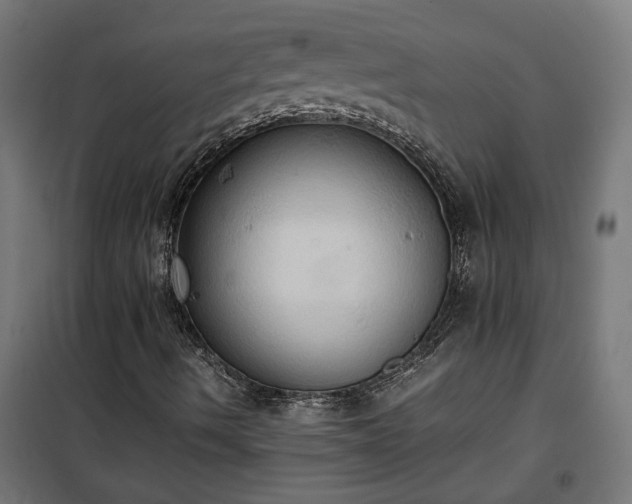 X0000100481490200806201617