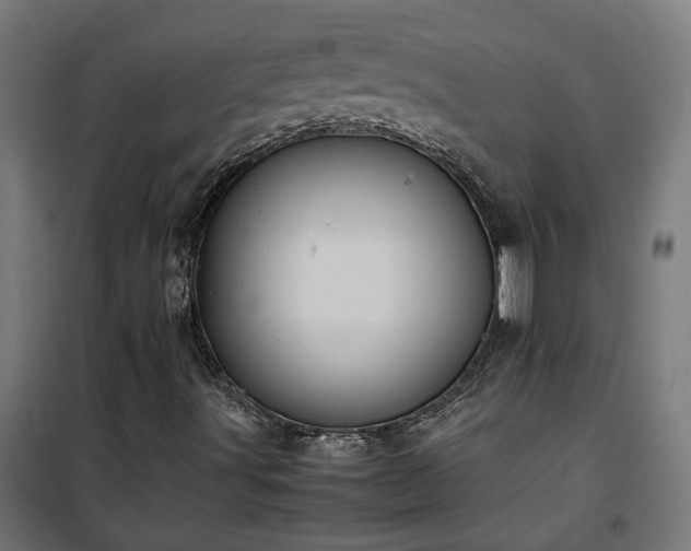 X0000100481491200806201617