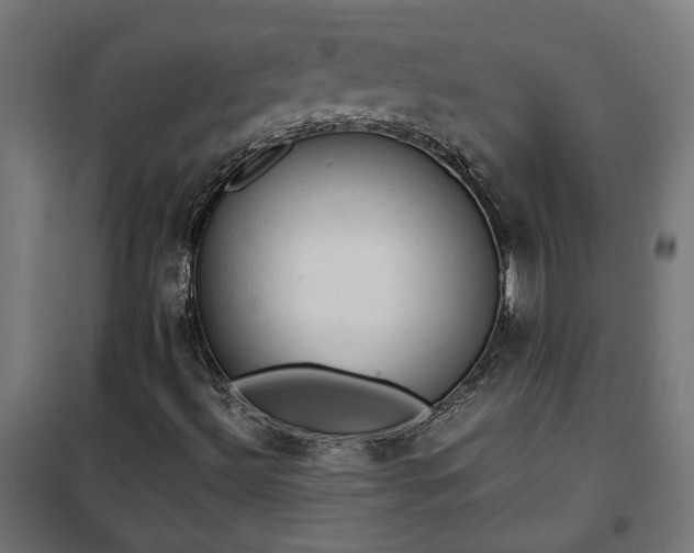 X0000100481492200806201617