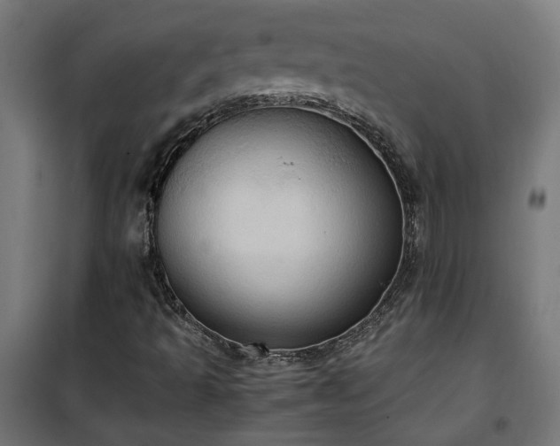 X0000100481493200806201617