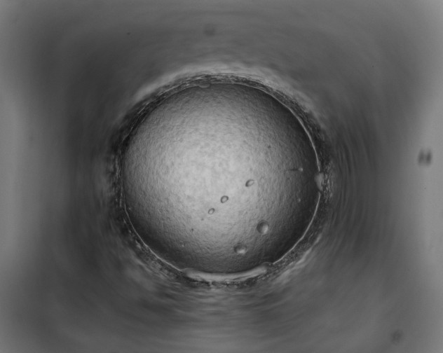 X0000100481494200806201617