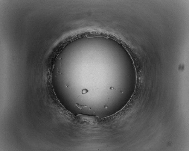 X0000100481495200806201617
