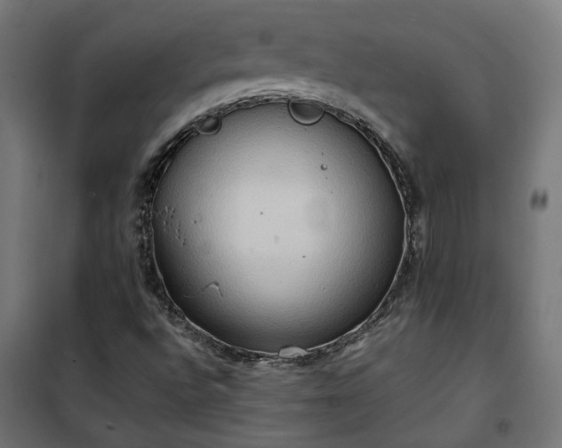 X0000100481496200806201617