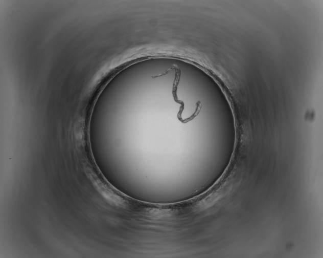 X0000100481499200806201617