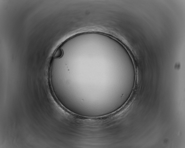 X0000100481500200806201617