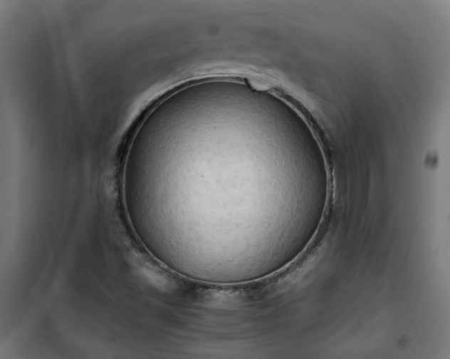 X0000100481501200806201617
