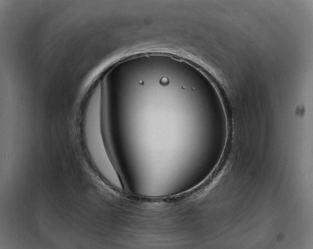 X0000100481502200806201617