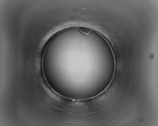 X0000100481503200806201617