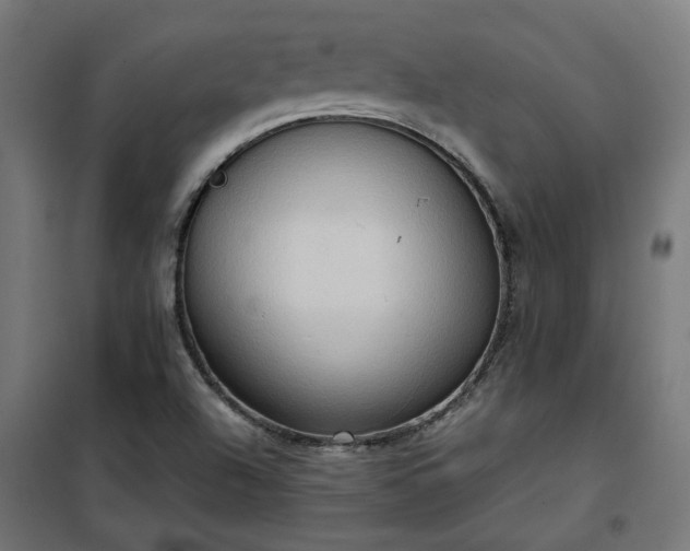 X0000100481504200806201617