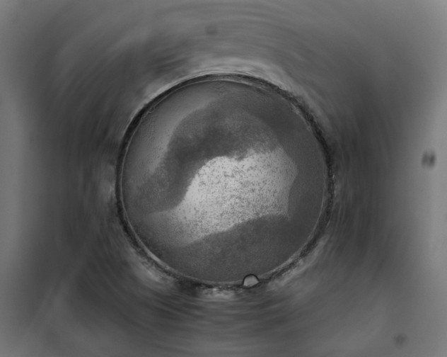 X0000100481505200806201617