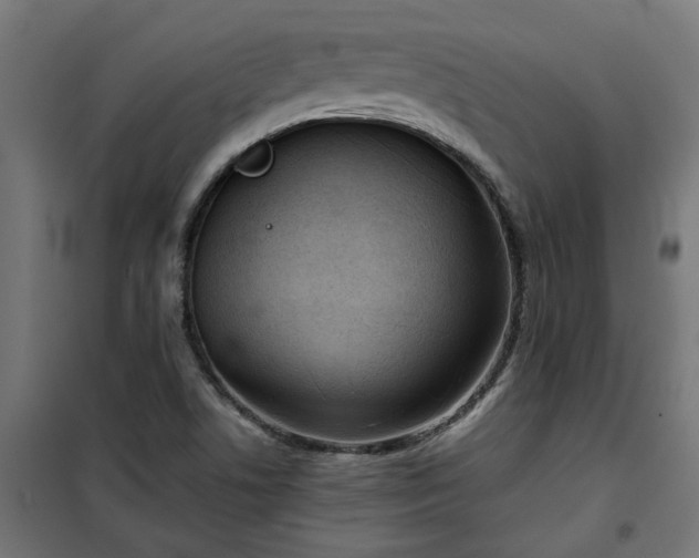 X0000100481506200806201617