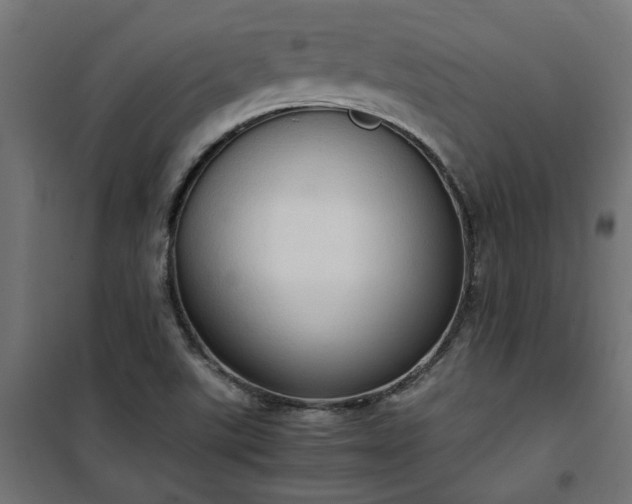 X0000100481507200806201617