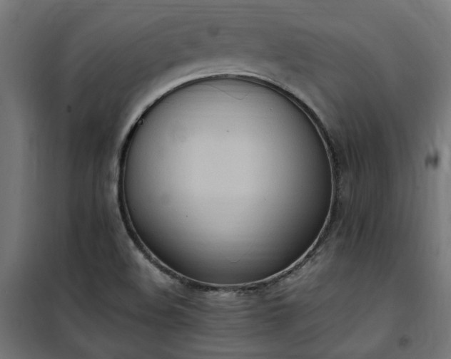 X0000100481508200806201617