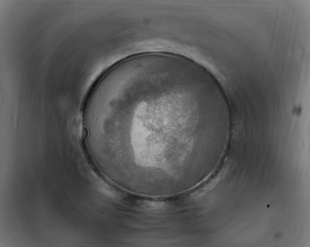 X0000100481509200806201617