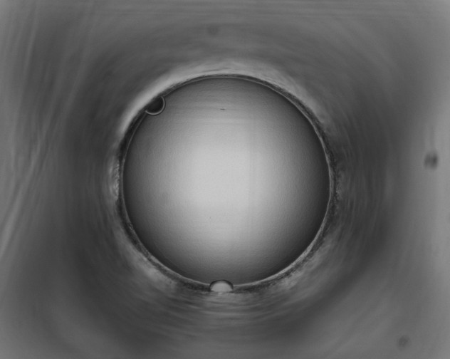 X0000100481510200806201617