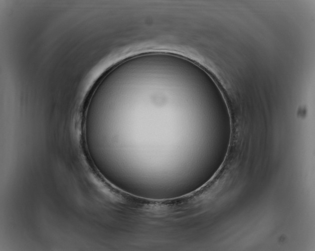 X0000100481511200806201617