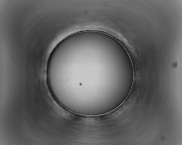 X0000100481512200806201617