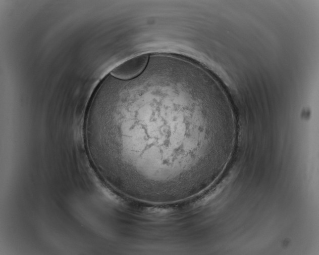 X0000100481513200806201617