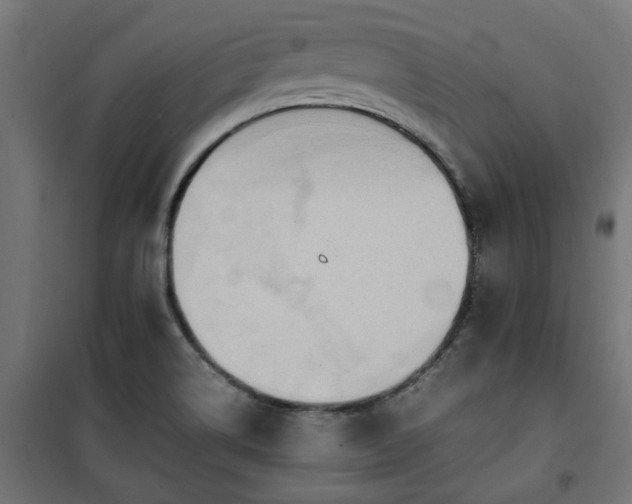 X0000100481514200806201617