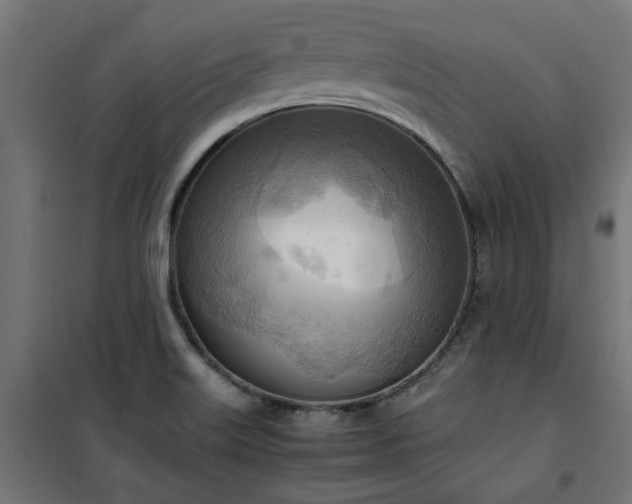 X0000100481515200806201617