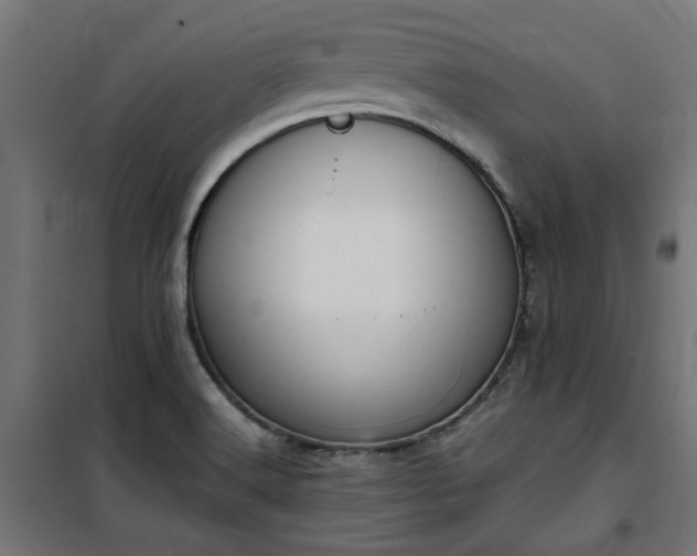 X0000100481516200806201617