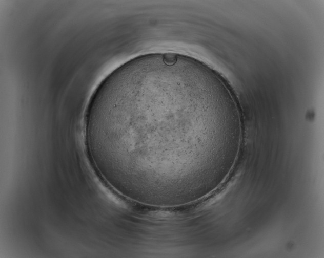 X0000100481517200806201617