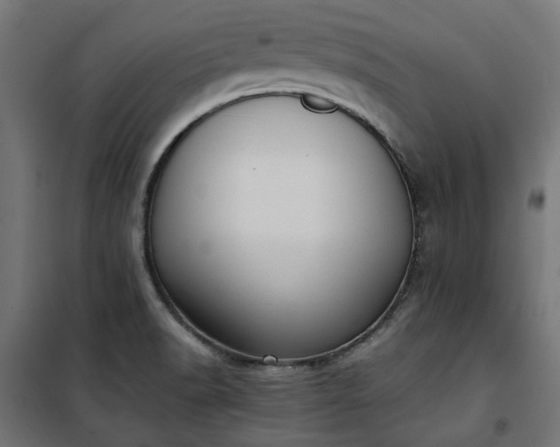 X0000100481518200806201617