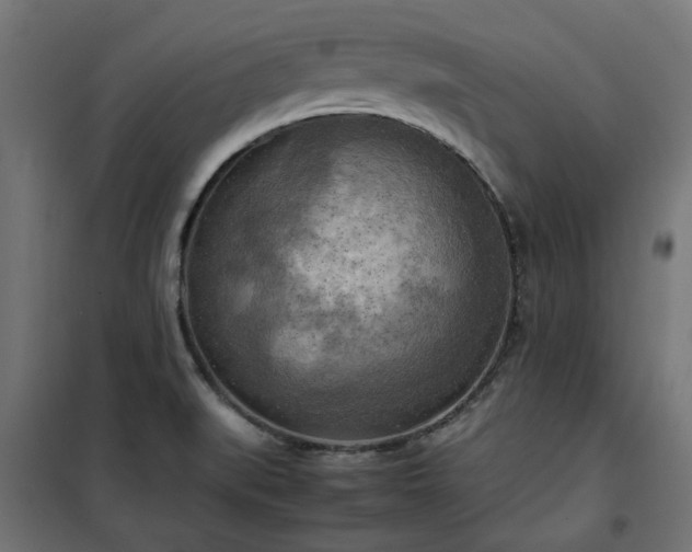 X0000100481519200806201617