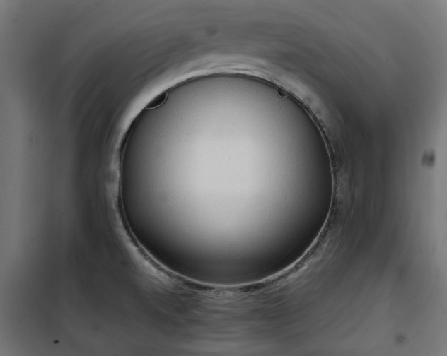 X0000100481520200806201617