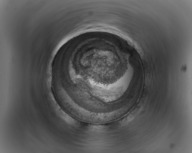 X0000100481522200806201618