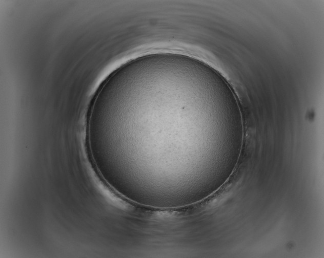 X0000100481523200806201618