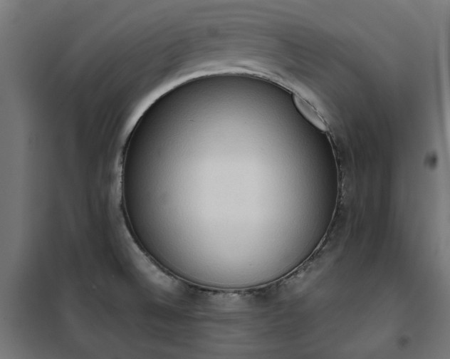 X0000100481524200806201618