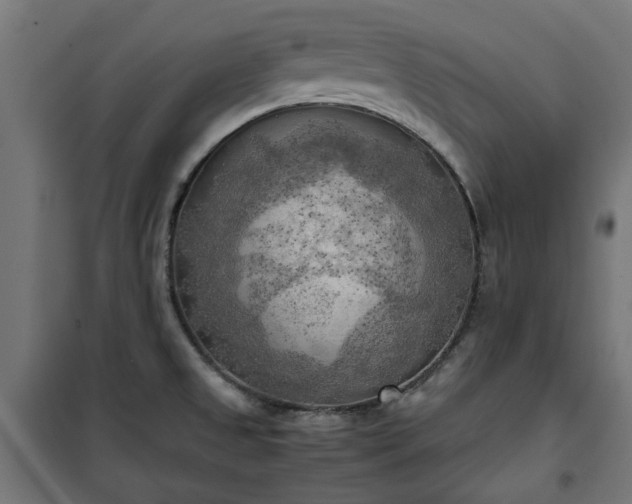 X0000100481525200806201618