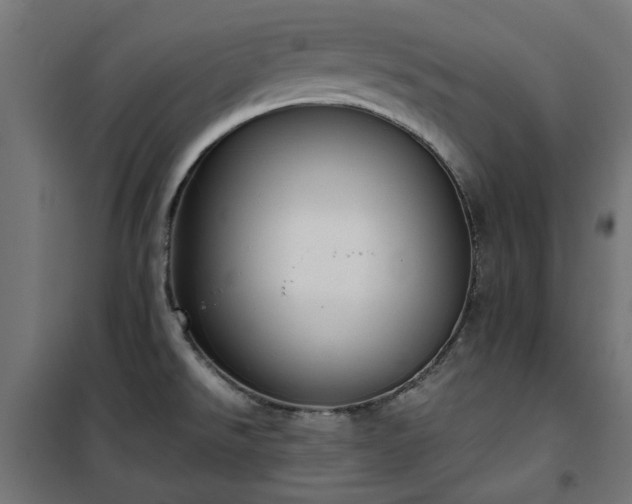 X0000100481526200806201618
