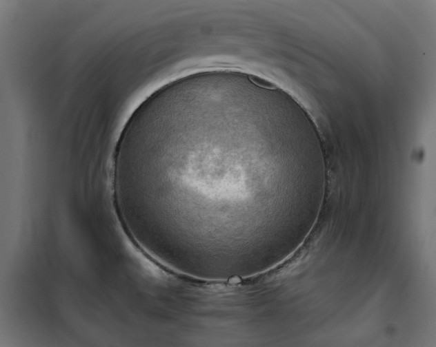 X0000100481527200806201618