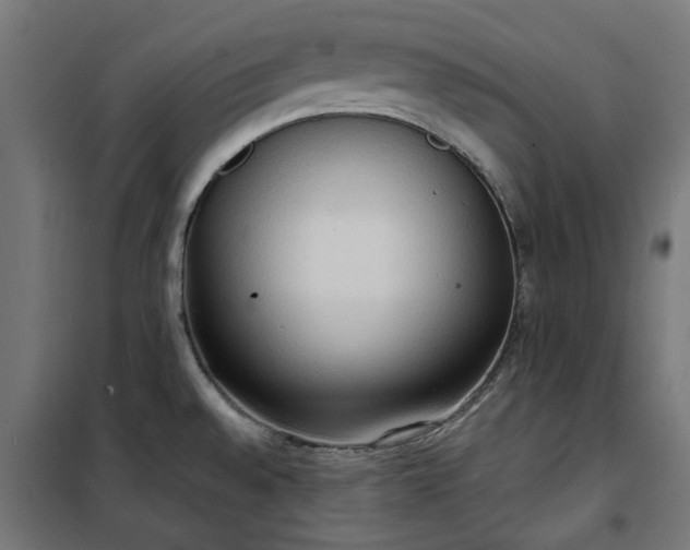 X0000100481528200806201618