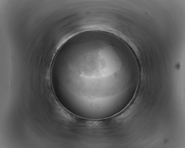 X0000100481529200806201618