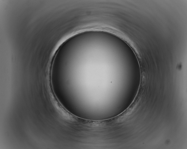 X0000100481530200806201618
